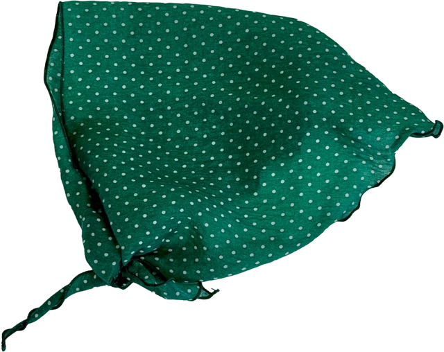 Item 1